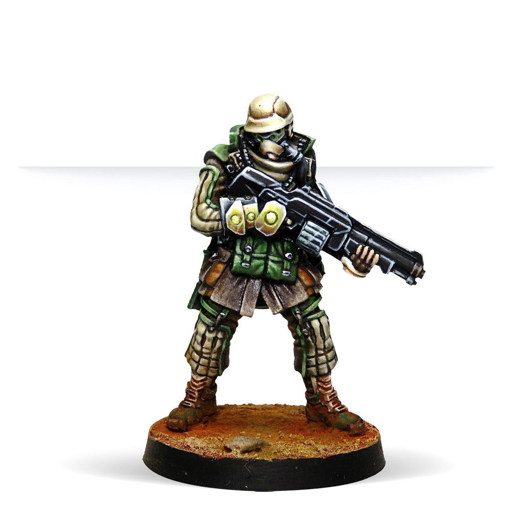 Reinforcements: Haqqislam Pack Beta