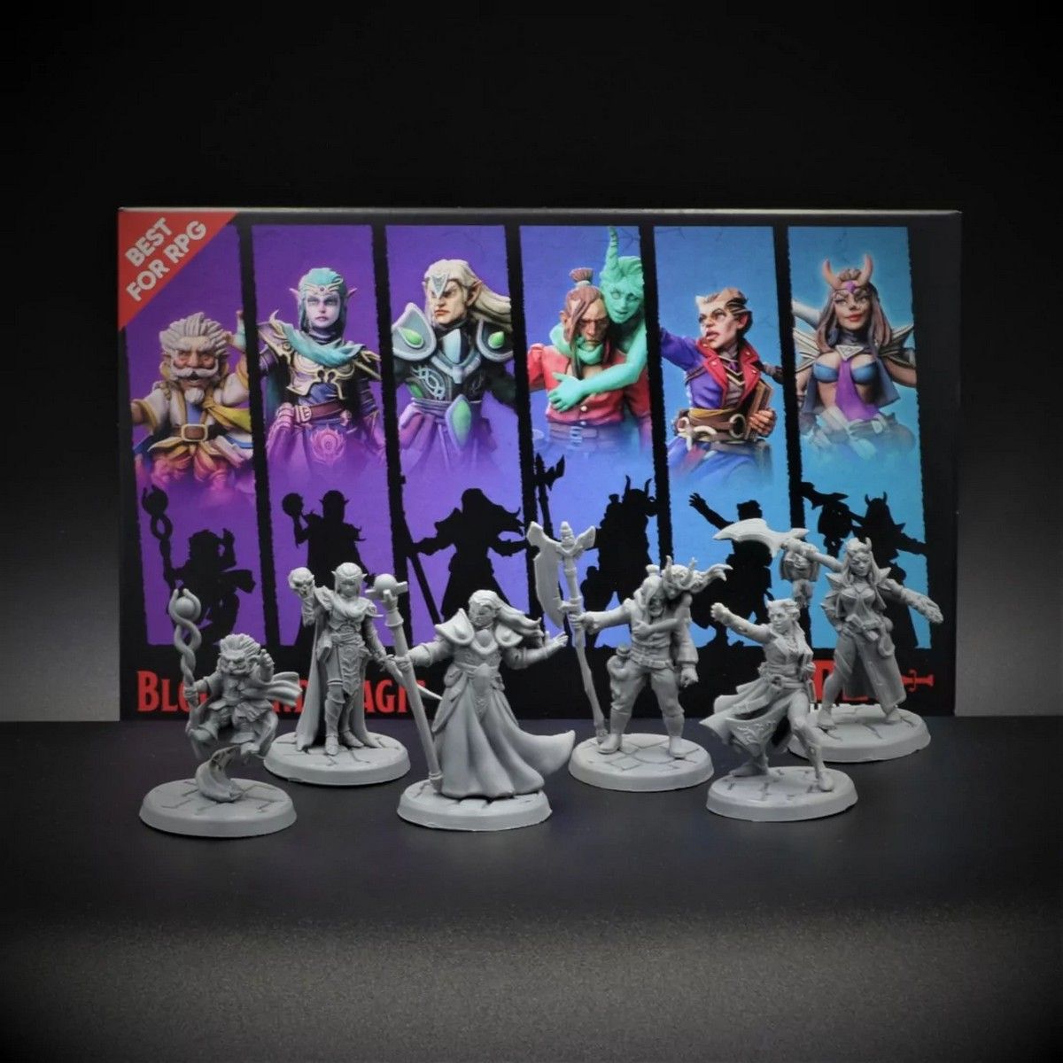 D20 Heroes: Blood and Magic RPG Hero Set