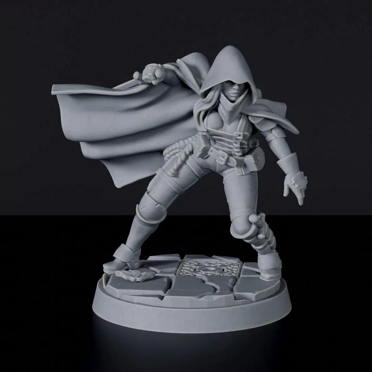 D20 Heroes: Ballad of the Cloak RPG Hero Set