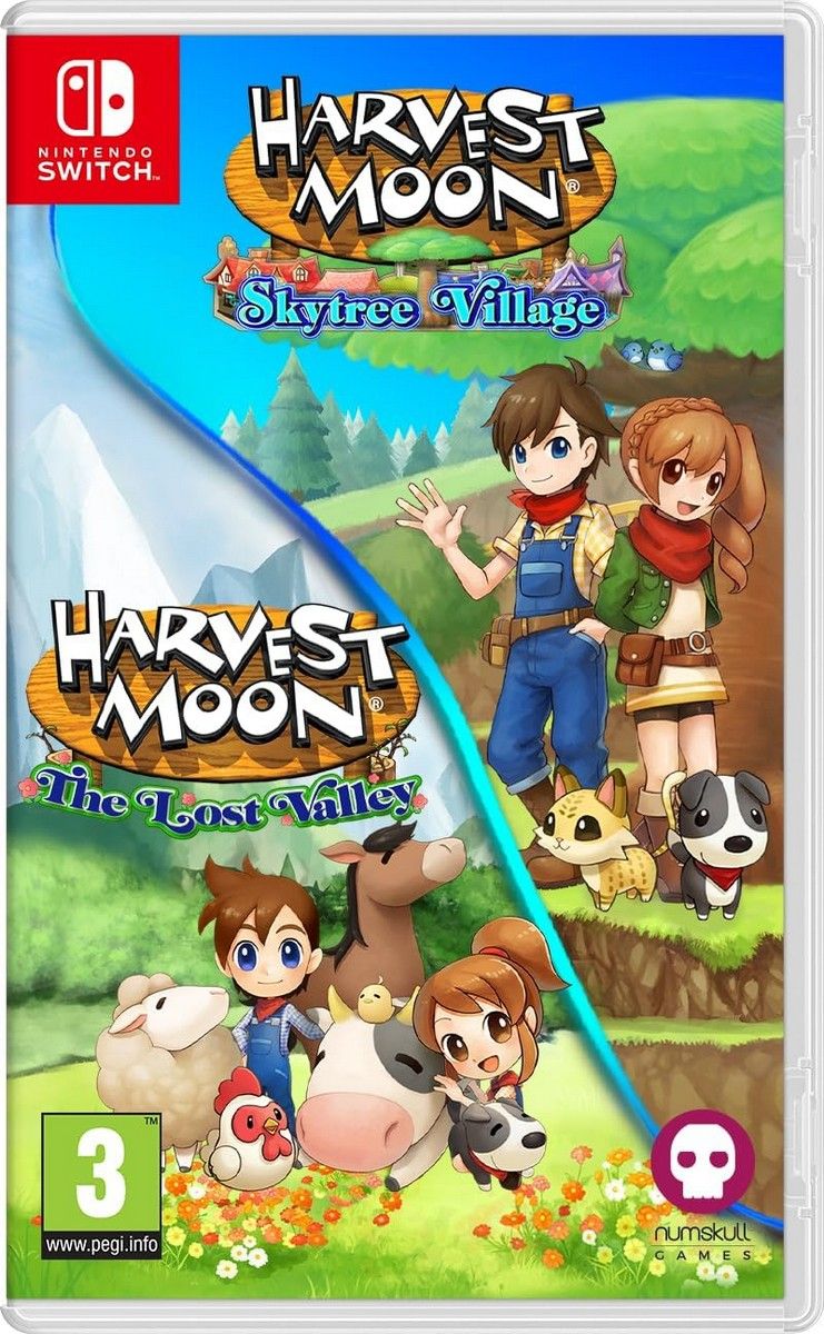 Harvest Moon: The Lost Valley & Skytree Village - NS