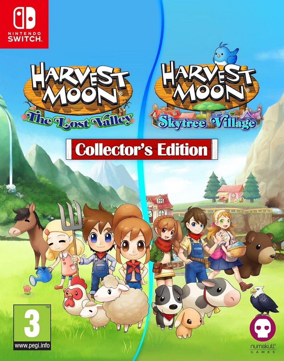Harvest Moon: The Lost Valley & Skytree Village - Collectors Edition - NS