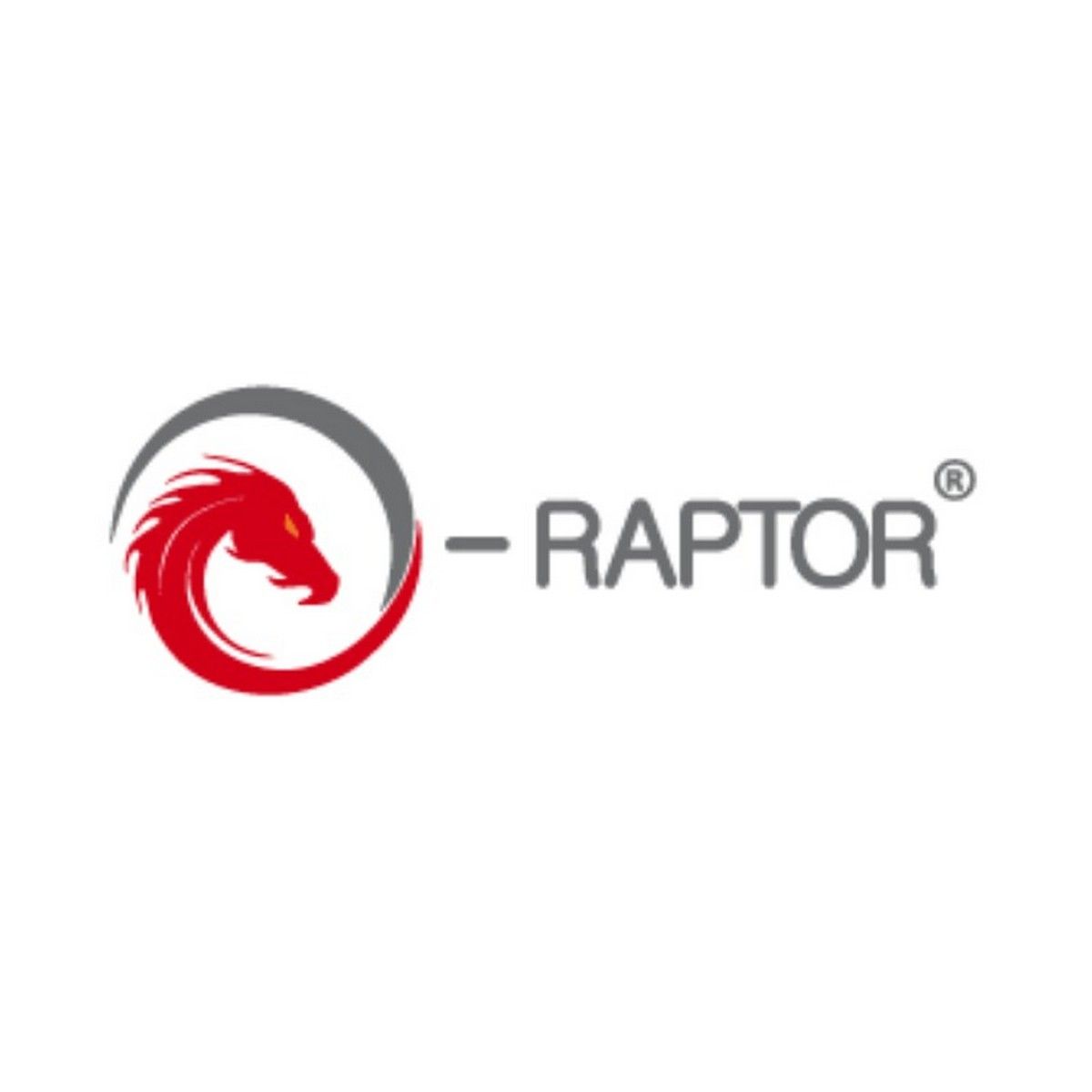 Wyrmspan - e-Raptor Insert