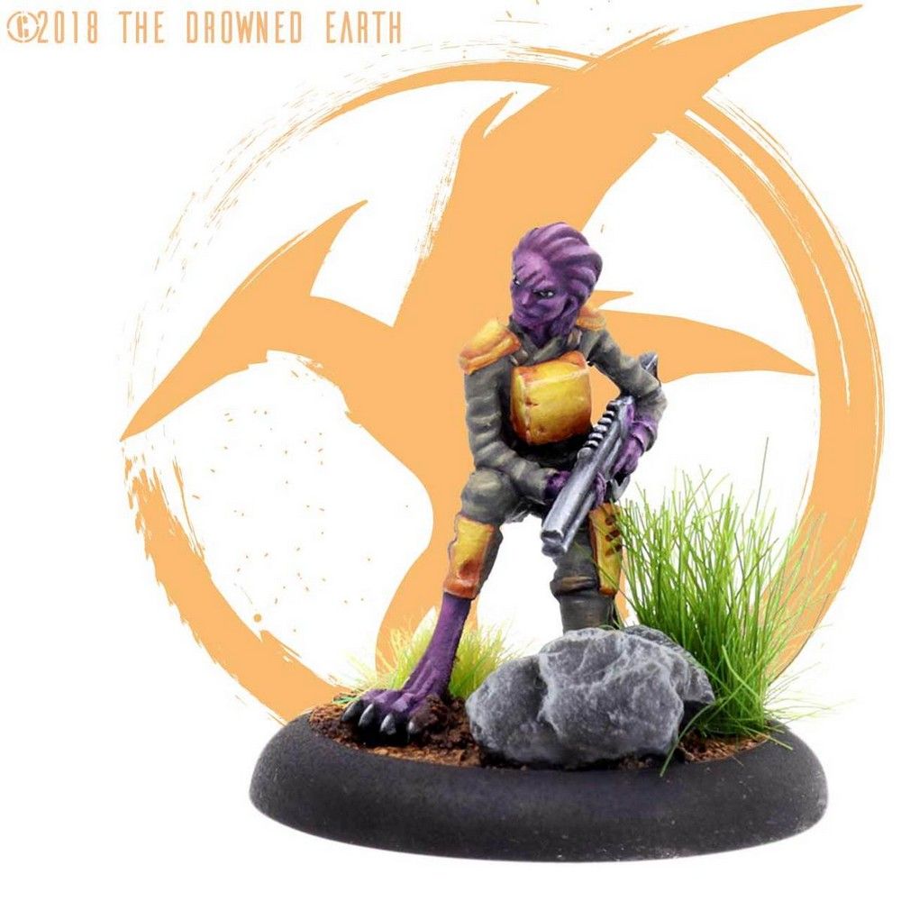 Lliana Wandering Wayfarer