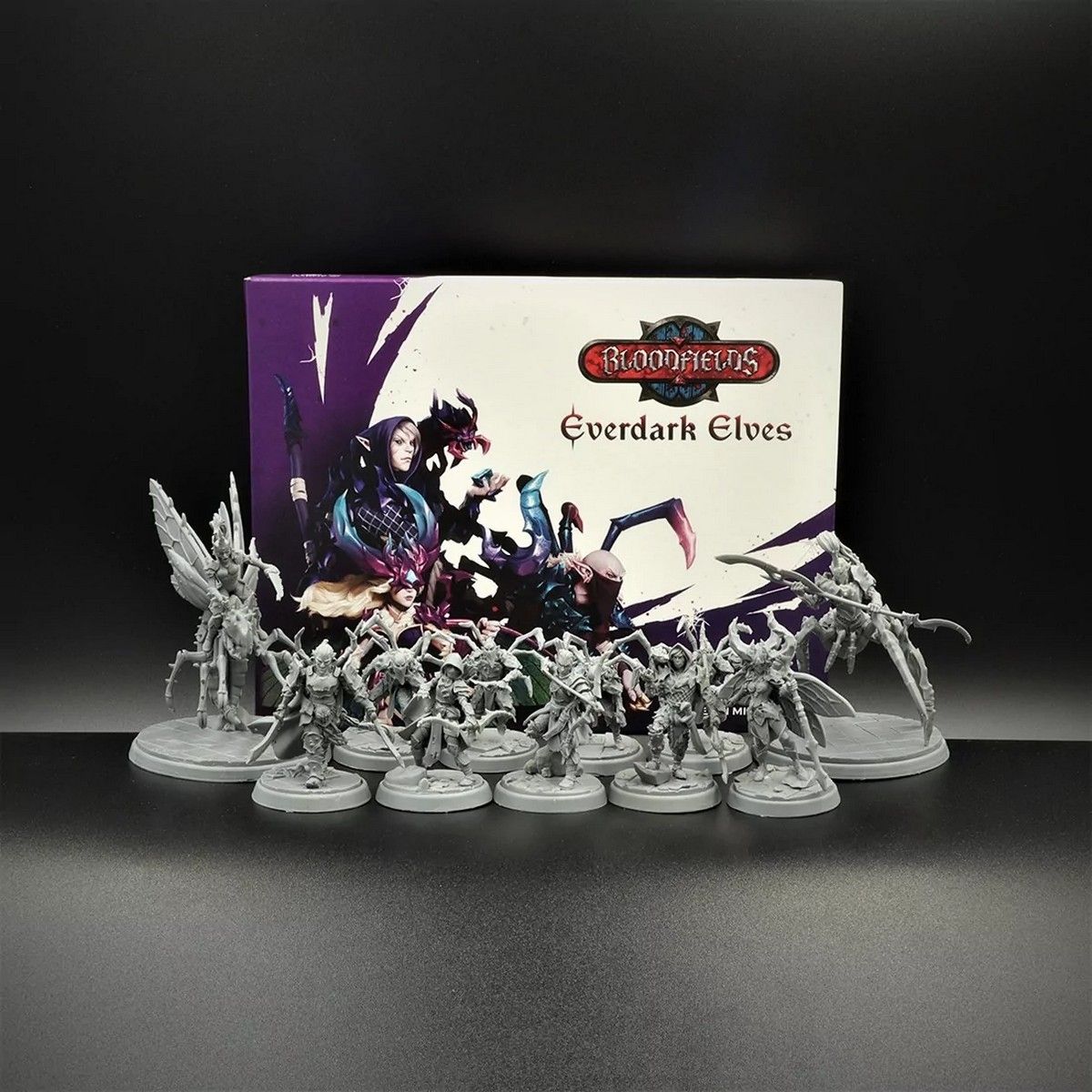Bloodfields: Everdark Elves Starter Set