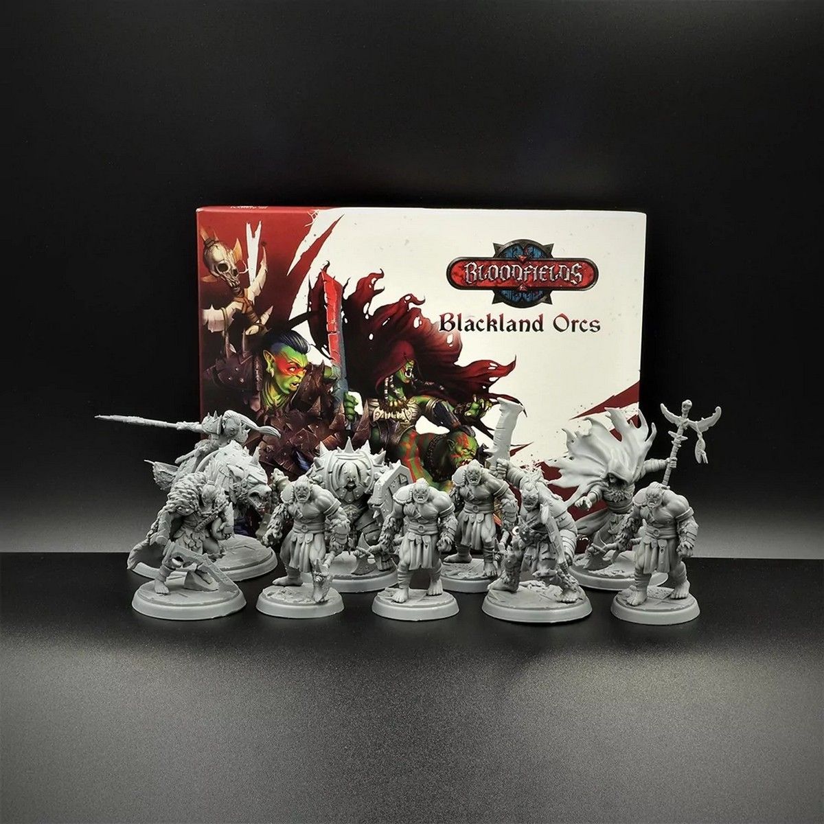 Bloodfields: Blackland Orcs Starter Set