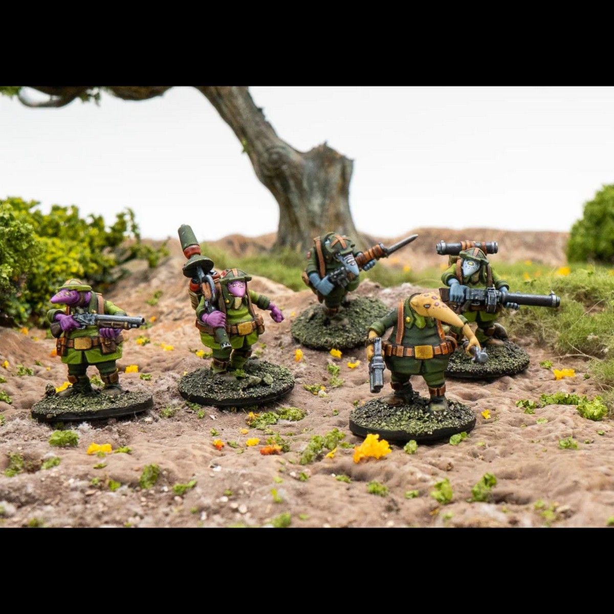 Quar Crusader Specialists